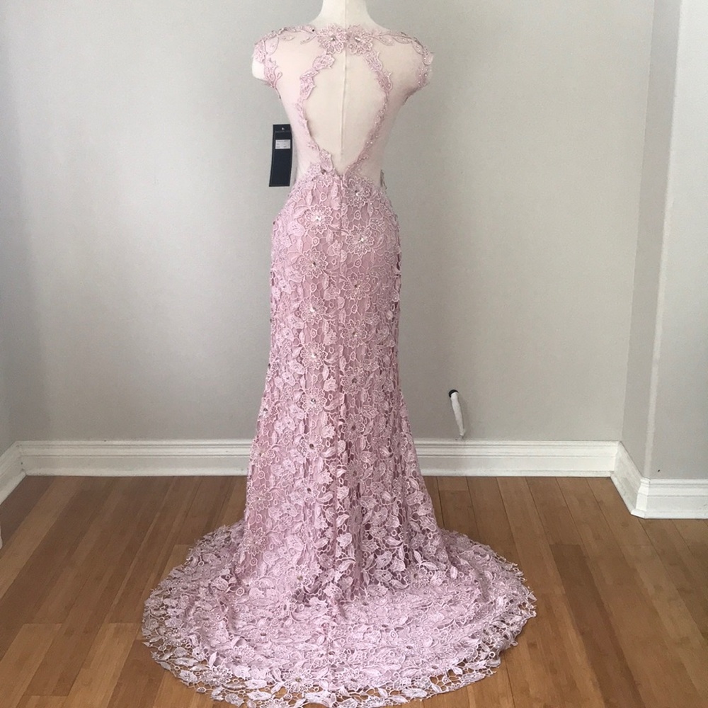 Premium Label Pink Lace and Crystal Gown (1)